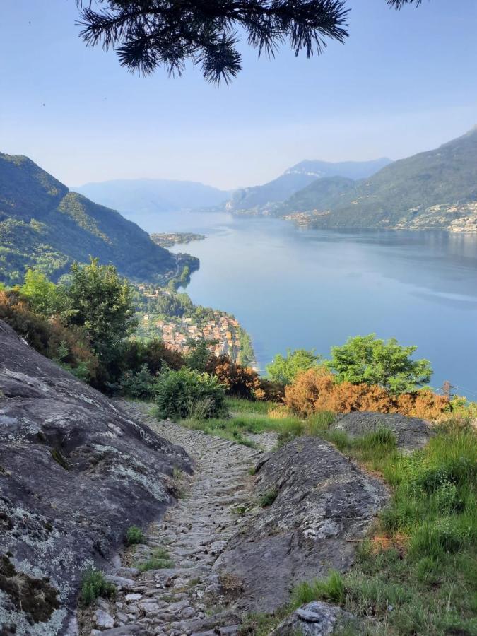 Al Castello Leilighet Dervio Eksteriør bilde